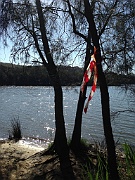 Narrabeen Lake from 64